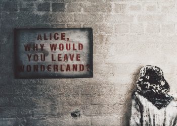 Alice, why would you leave wonderland wall art